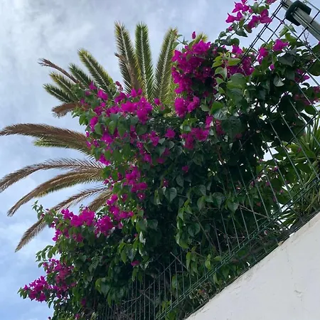 Elena Costa Adeje